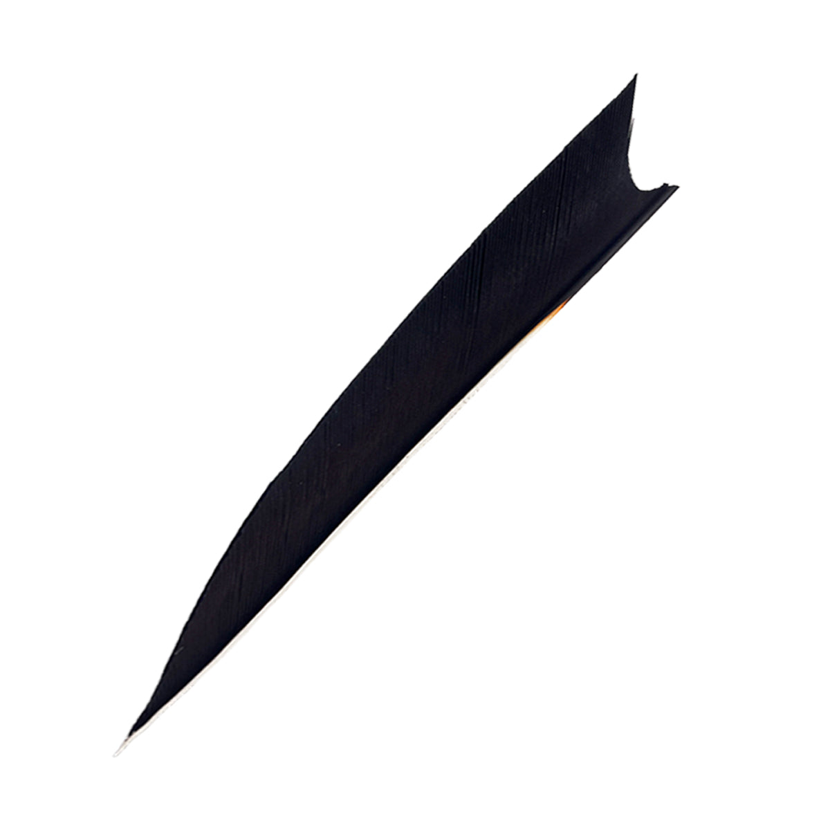 Feder RW Shark Solid