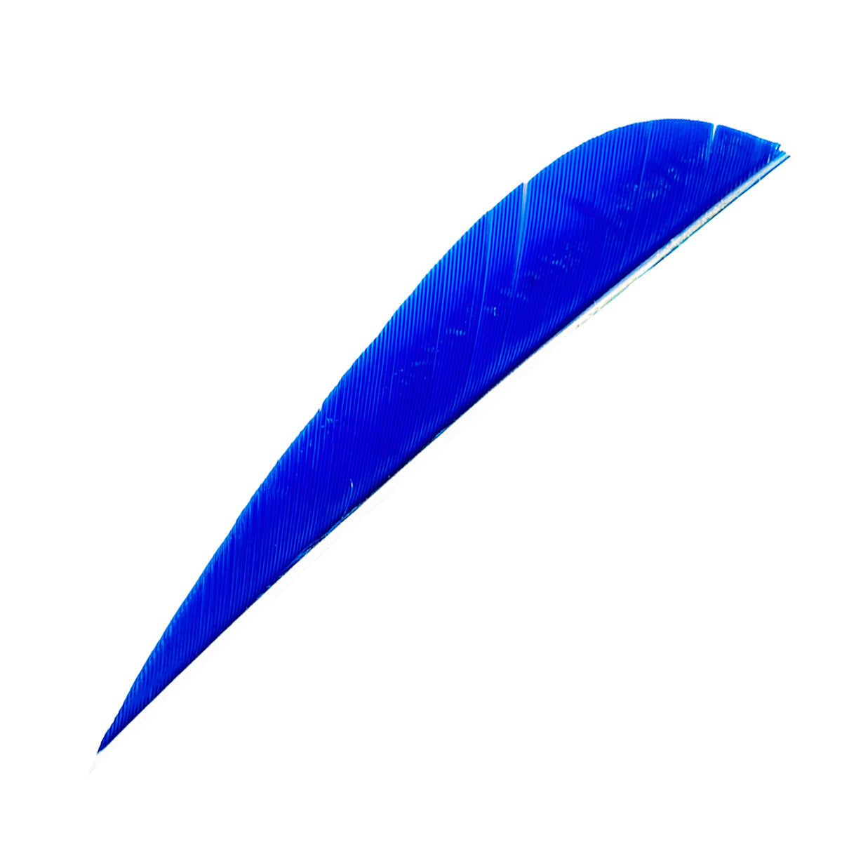 Feder RW Parabol Solid