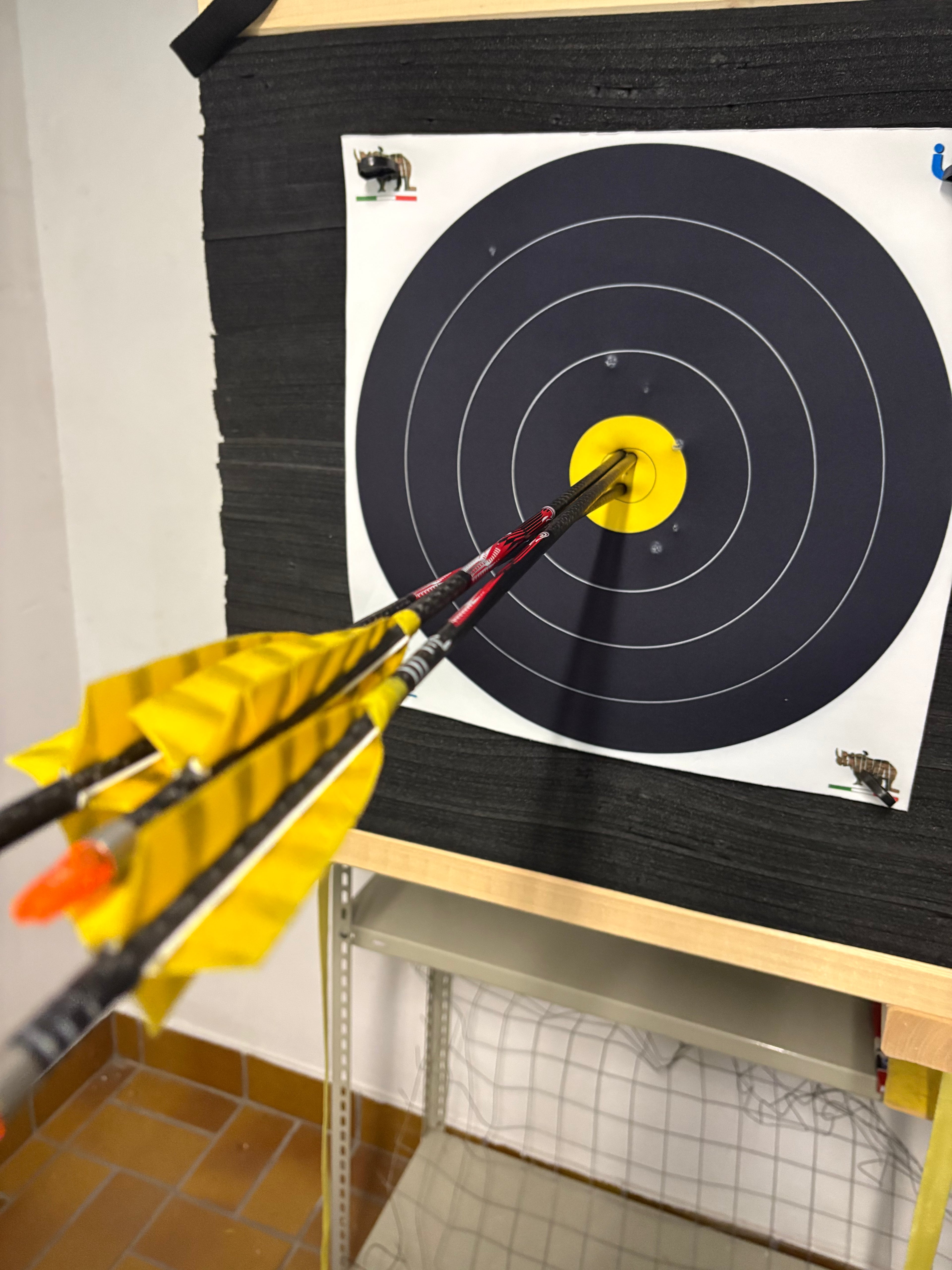 Fertigpfeil HB Partizan Extreme  600 in 31 Zoll Länge Push-In-Nocke